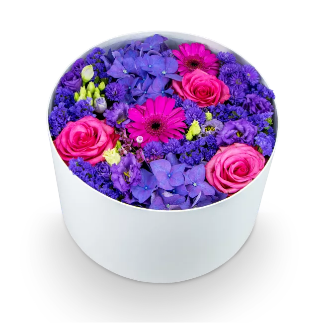 Box fialových květin